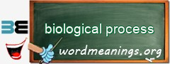 WordMeaning blackboard for biological process